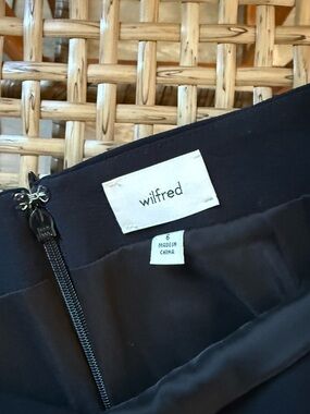 Aritzia Classic Mini Skirt - Crepette